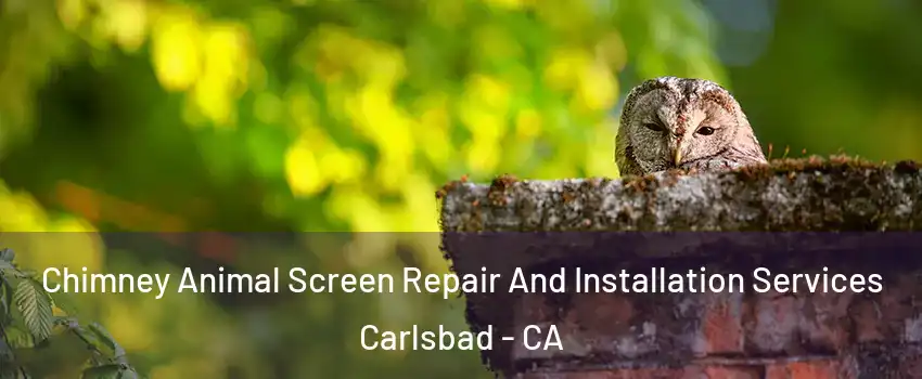 Chimney Animal Screen Repair And Installation Services Carlsbad - CA
