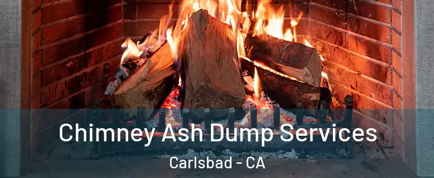 Chimney Ash Dump Services Carlsbad - CA